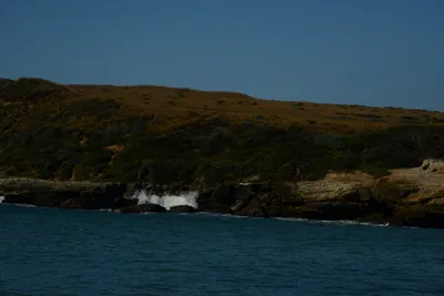 DSC_2605 (Large).JPG